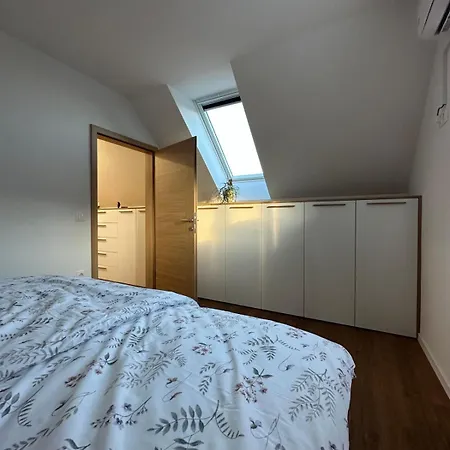 Vila Sencur Villa *